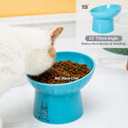 6.5 Inch Wide Ceramic Raised Cat Bowls, Tilted Elevated Cat Food Bowl Set | Prevent Neck, Whisker Fatigue, Anti Vomit, for Elder Big Cats & Small Dogs, Dishwasher and Microwave Safe, 2 Pack