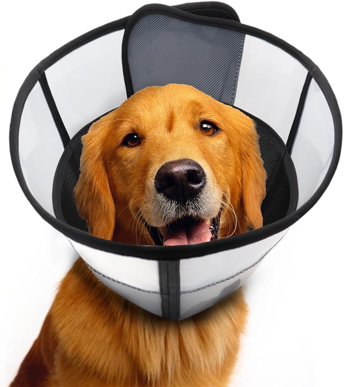WinWeal Upgraded Soft Dog Cone Collar for Large Medium Dogs After Surgery – Adjustable Transparent Recovery Collar, Breathable Elizabethan E-Collar for Wound Healing & Anti-Licking (M, Black)