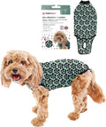 BellyGuard Dog Surgery Recovery Suit, Post-Op Dog Recovery Suit for Female Spay & Male Neuter, Comfy Onesie for Pets, Surgical Body Cover for Canine Healing Support