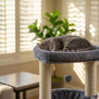 ROYPET Fashion Design 43.3" Cat Trees with Cat Houses,Grey