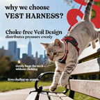 rabbitgoo Cat Harness and Leash Set, Escape Proof Vest, Black & Red | Soft Breathable Mesh, Easy Adjustable Fit, Snap Buckles, Sturdy Clip, Reflective Strips, for Average Cats Walks, S