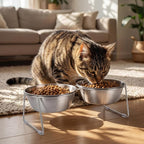 2 Set Elevated Cat Bowls 4.53'' Height Raised Stainless Steel Cat Food Bowls Anti-Slip 15° Tilted Stand Shallow Food and Water Dishes for Kitty and Small Puppy (Double Bowl)