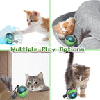 Interactive Cat Toy Ball, Automatic Self-Rolling Cat Toy with Feather Tail, Rechargeable Smart Cat Ball for Indoor Cats（Dark Green）