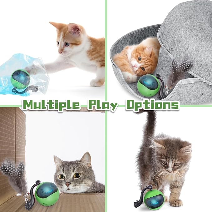 Interactive Cat Toy Ball, Automatic Self-Rolling Cat Toy with Feather Tail, Rechargeable Smart Cat Ball for Indoor Cats（Dark Green）