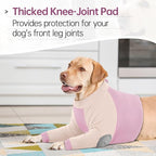 Lelepet Dog Recovery Suit for Front Legs, Dog Sleeve to Stop Licking M | Elbow Protector for Leg Injuries Shoulder Wounds After Surgery Male Female,Zippered Long-Sleeved Shirt Cone Alternative S-3XL
