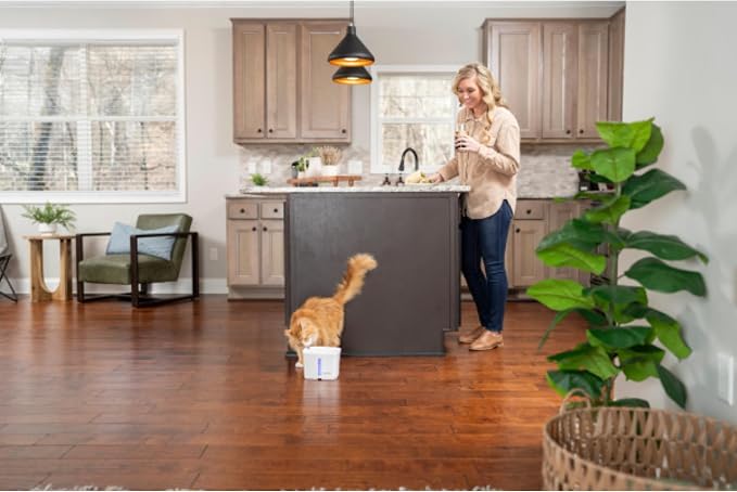 PetSafe Viva Pet Fountain - Encourages Healthy Hydration - Automatic Water Dispenser with Double Filtration - Ultra Quiet Water Fountain - Easy to Assemble & Clean - Stainless Steel - 64 oz | Whisper-Quiet Pump Encourages Hydration, BPA-Free, Dishwashe...