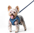 rabbitgoo Dog Harness Small Sized and Leash Set, Step-in Puppy Pet Vest | Light, Soft, Breathable Air Mesh, Easy on and Remove with Hook & Loop, Secure Reflective for Walking, Blue Zigzag XS
