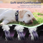 Airtag Dog Collar, Reflective Ultra-Durable Nylon Padded with QR Code Buckle & IP68 Waterproof Air Tag Holder Compatible for Apple AirTag, Comfortable for Small Medium Large Dogs(Purple,S)