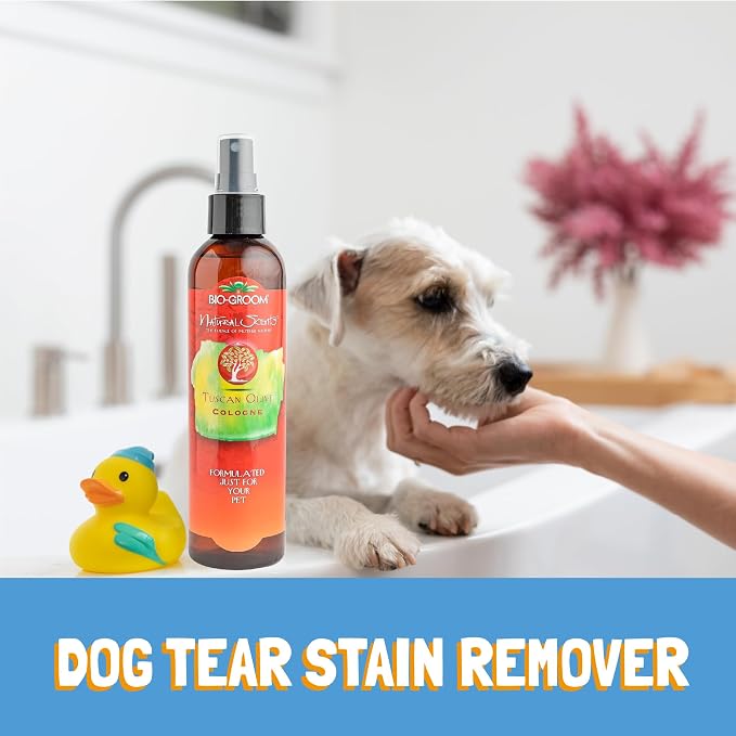 Bio-Groom Tuscan Olive Dog Shampoo - Natural Scent Pet Shampoo, Baobab Protein, Cat & Dog Bathing Supplies, Puppy Wash, Cruelty-Free, Made in USA, Quick Rinse Cat Shampoo - 8 fl oz 1-Pack | Pet Shampoo, Baobab Protein, Cat & Dog Bathing Supplies, Puppy...