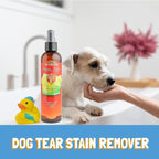 Bio-Groom Tuscan Olive Dog Shampoo - Natural Scent Pet Shampoo, Baobab Protein, Cat & Dog Bathing Supplies, Puppy Wash, Cruelty-Free, Made in USA, Quick Rinse Cat Shampoo - 8 fl oz 1-Pack | Pet Shampoo, Baobab Protein, Cat & Dog Bathing Supplies, Puppy...