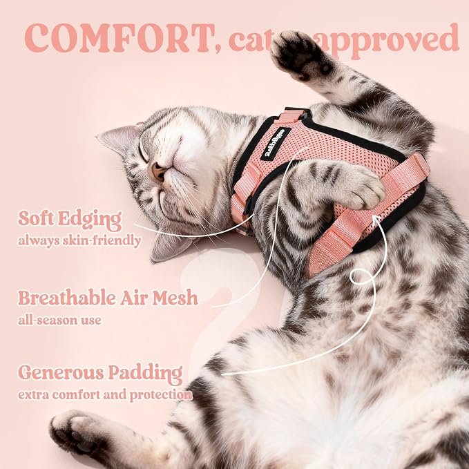 rabbitgoo Cat Harness and Leash Set, Escape Proof Vest, Light Salmon Pink | Soft Breathable Mesh, Easy Adjustable Fit, Snap Buckles, Sturdy Clip, Reflective Strips, for Medium to Large Cats Walks, M