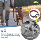 Mayerzon Martingale No Pull Collar for Medium Large Dogs | Hot Pink Trim, L | Patented Anti Pull Dog Collar with Buckle for Walking Training, Neoprene Padding, Reflective Stitching, Adjustable, Sturdy