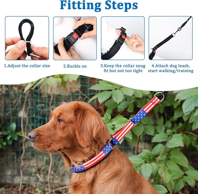 Mayerzon Martingale Prong Collar for Dogs, Patented No Pull Pinch Collar | with American Flag and Buckle for Small Medium Large Dogs Training Walking Hunting, Adjustable and Heavy Duty (Flag, XL)