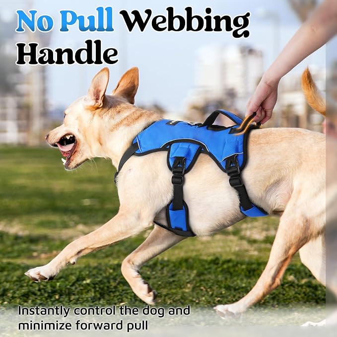 rabbitgoo Escape Proof Dog Harness for X-Large, No Pull with Lift Handle | No Escape, Full Soft Padded, Reflective Adjustable Vest, Leash Clip for Walking Hiking Training, Blue, X-Large