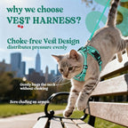 rabbitgoo Cat Harness and Leash Set, Escape Proof Vest, Cherry Grove | Soft Breathable Mesh, Easy Adjustable Fit, Snap Buckles, Sturdy Clip, Reflective Strips, for Kittens & Small Cats Walks, Xxs