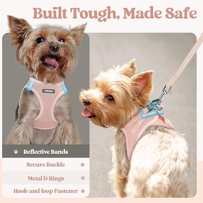 rabbitgoo Dog Harness Medium Sized and Leash Set, Step-in Puppy Pet Vest | Light, Soft, Breathable Air Mesh, Easy on and Remove with Hook & Loop, Secure Reflective for Walking, Pink XL