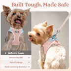 rabbitgoo Dog Harness Medium Sized and Leash Set, Step-in Puppy Pet Vest | Light, Soft, Breathable Air Mesh, Easy on and Remove with Hook & Loop, Secure Reflective for Walking, Pink XL