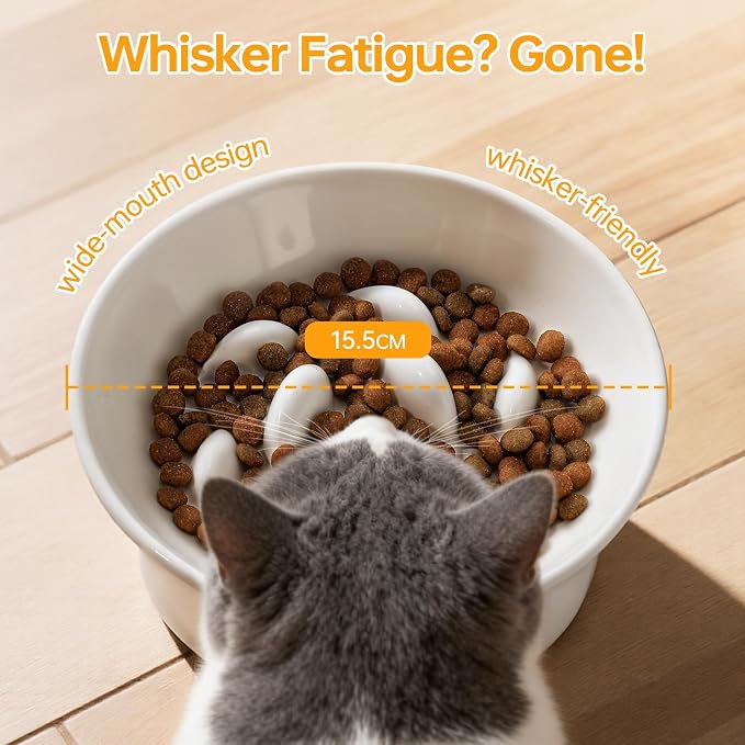 PETTOM Slow Feeder Cat Bowl, Ceramic Raised Cat Slow Feeder Bowl, Elevated, Anti Vomiting for Dry and Wet Food, White (1 Pack)