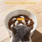 PETTOM Slow Feeder Cat Bowl, 2 Pack Ceramic Raised Tilted Cat Slow Feeder Bowl Elevated Puzzle Anti Vomiting for Dry and Wet Food Whisker Friendly for Kitty Puppy, White