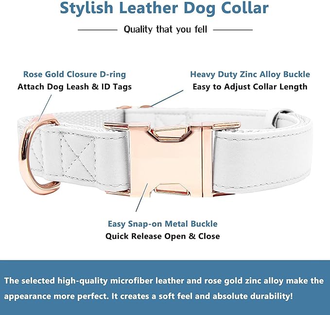 Soft Leather Dog Collar and Leash (6.6') Set - Stylish Rose Gold Heavy Duty Metal Buckle, 4 Adjustable Lengths Leash for Small Medium Large Dogs - Comfortable & Easy to Clean White S(12.2"-16.9")