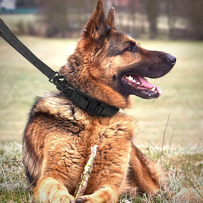 Tactical Dog Collar and Leash Set Heavy Duty Military Dog Collar with Handle and Metal Buckle for Medium and Large Dogs (Black, L)