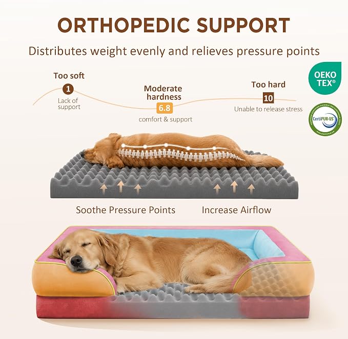 Comfort Expression Orthopedic Dog Bed for Extra Large Dogs with Bolster | Waterproof Dog Couch Bed with Washable Cover & Non-Slip Bottom, Supportive Egg Crate Foam XL Pet Bed, 42x30 Inch