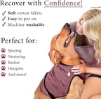 BellyGuard Dog Surgery Recovery Suit, Post-Op Dog Recovery Suit for Female Spay & Male Neuter, Comfy Onesie for Pets, Surgical Body Cover for Canine Healing Support