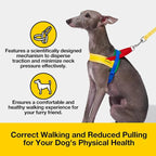 VETRESKA MoMA Dog Harness and Leash Set, Easy Walk Dog Harness, Yellow XS | for Small Medium Dogs, No Pull Puppy Harness for Walking and Training, Adjustable, Take Control & Anti-Twist Pet Lead Combo