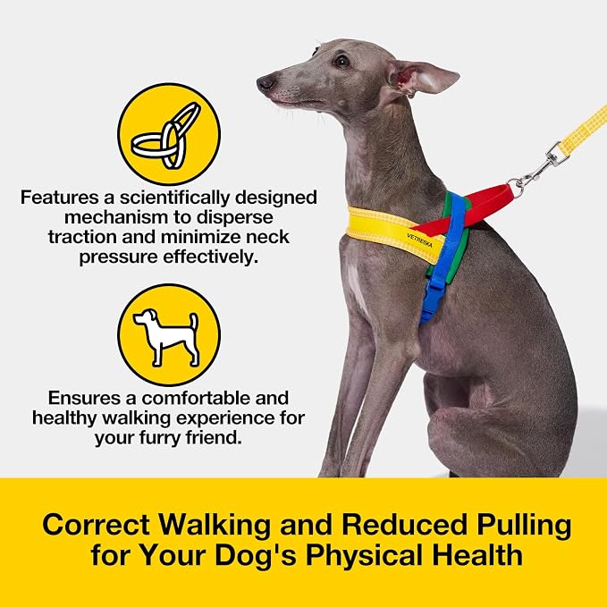 VETRESKA MoMA Dog Harness and Leash Set, Easy Walk Dog Harness, Yellow XS | for Small Medium Dogs, No Pull Puppy Harness for Walking and Training, Adjustable, Take Control & Anti-Twist Pet Lead Combo