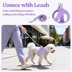 rabbitgoo Dog Harness Small Sized and Leash Set, Step-in Puppy Pet Vest | Light, Soft, Breathable Air Mesh, Easy on and Remove with Hook & Loop, Secure Reflective for Walking, Light Purple XXS