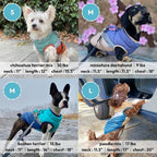 Gooby Mountaineer Dog Jacket - Jade, Small - Warm Zip Up Coat with Lift Handle and Dual O Ring Leash Water Resistant for Small to Medium Dogs