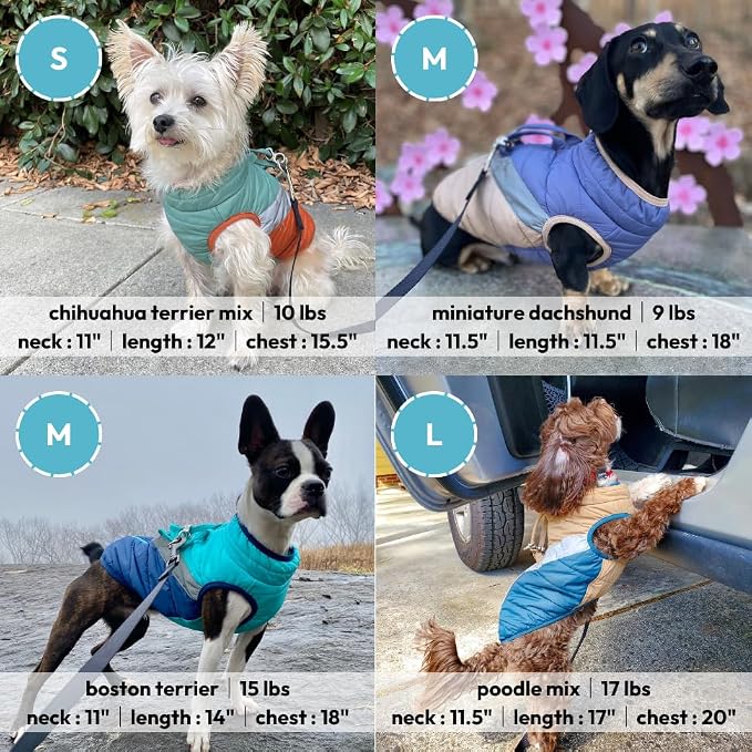 Gooby Mountaineer Dog Jacket - Jade, X-Large - Warm Zip Up Coat with Lift Handle and Dual O Ring Leash Water Resistant for Small to Medium Dogs