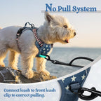 rabbitgoo Dog Harness, No Pull for Small Dogs with 2 Leash Clips, Pet Vest | No Choke with Handle, Adjustable Soft Padded, Reflective, Easy Control for Walking, Blue Star, X-Small