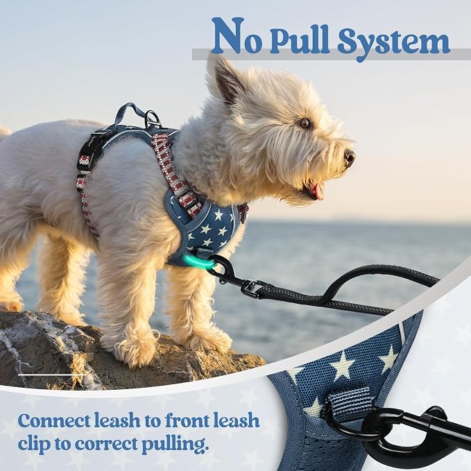 rabbitgoo Dog Harness, No Pull for Small Dogs with 2 Leash Clips, Pet Vest | No Choke with Handle, Adjustable Soft Padded, Reflective, Easy Control for Walking, Blue Star, X-Small