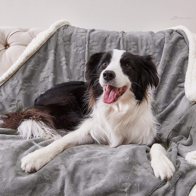 Dog Blankets for Large Dogs - Waterproof Cat Blanket Washable - Sherpa Fleece Puppy Blanket, Soft Plush Reversible Throw Protector for Bed Couch Car Sofa, 60"X80", Grey