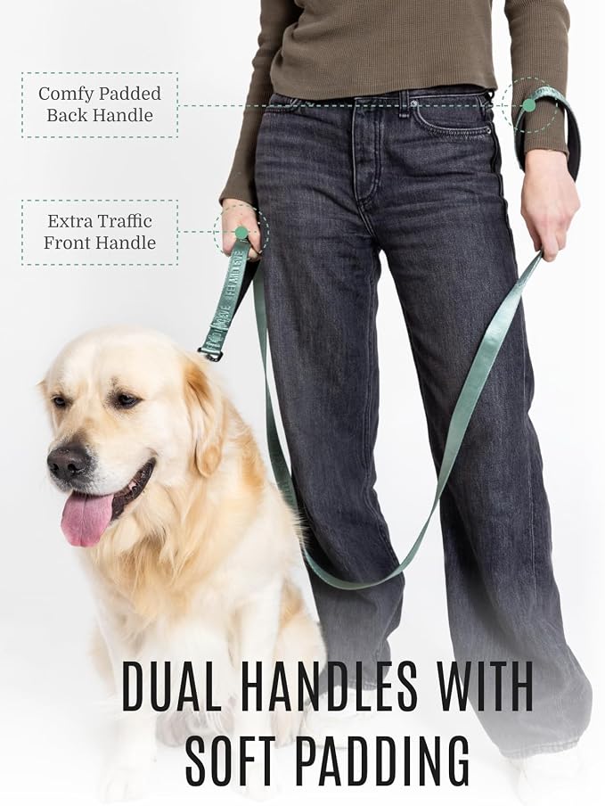Fei & Eve Classic Dog Leash | Soft-Touch 210D Nylon, Dual Padded Handles, Traffic Handle, Tangle-Free, Heavy Duty, Glacier Green, 4FT