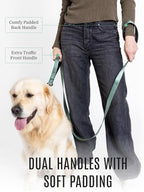 Fei & Eve Classic Dog Leash | Soft-Touch 210D Nylon, Dual Padded Handles, Traffic Handle, Tangle-Free, Heavy Duty, Glacier Green, 4FT