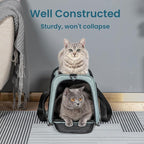 Petsfit Soft-Sided Cat Carrier,18 x 11 x 11 Pet Carrier | Airline Approved, Lightweight and Collapsible, Ventilation on 5 sides, Escape Proof, Adjustable Shoulder Strap & Soft Cushion