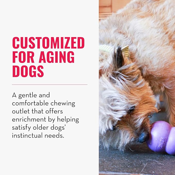 KONG Senior - Dog Toy with Gentle, Natural Rubber - Durable Dog Toy for Older Dogs - Use Treats with Stuffable Chew Toy - Treat Toy for Chewing & Fetching - for Large Dogs
