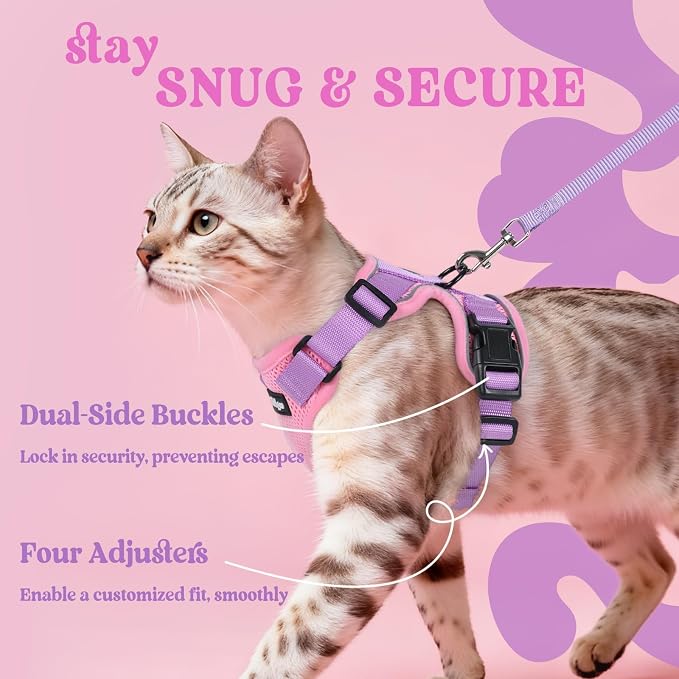 rabbitgoo Cat Harness and Leash Set, Escape Proof Vest, Pink & Light Purple | Soft Breathable Mesh, Easy Adjustable Fit, Snap Buckles, Sturdy Clip, Reflective Strips, for Kittens & Small Cats Walks, Xxs