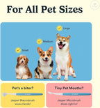 Jasper Dog Toothbrush, 360° Finger Toothbrush for Dogs & Cats, Neon 4-Pack | 12x More Bristles, Teeth Cleaning Kit for Small & Large Pets, Toothpaste Not Included, Fights Bad Breath, Extra Soft Silicone