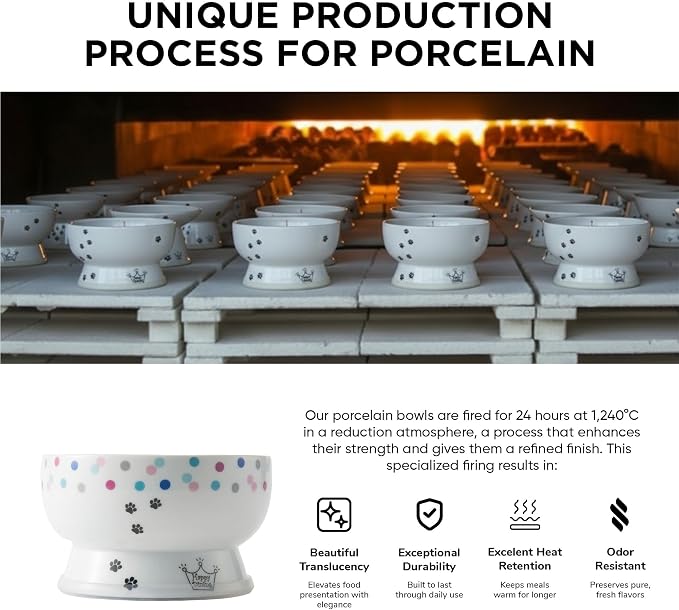 Necoichi Raised Cat Water Bowl, Whisker-Friendly (Colorful Dots, Regular)