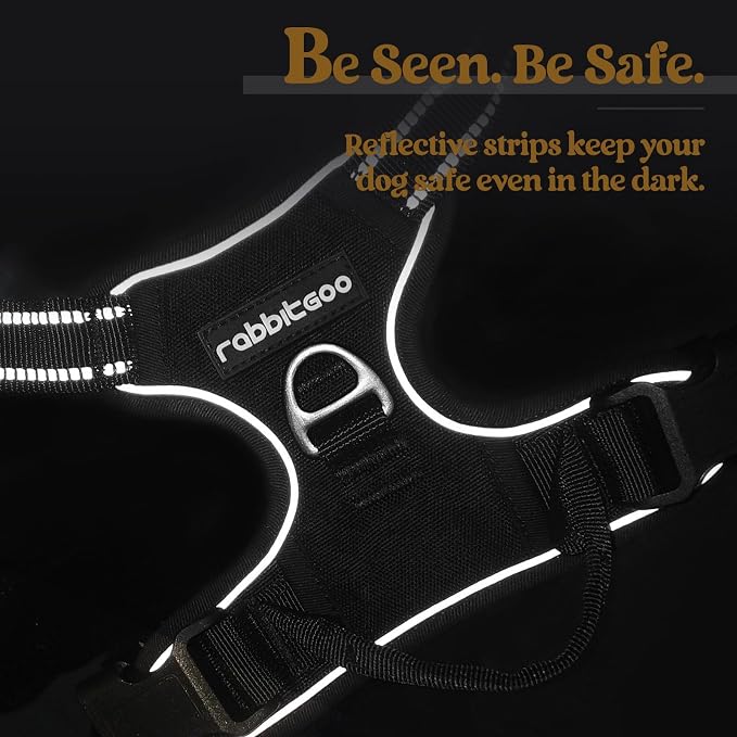 rabbitgoo Dog Harness, No Pull for Large Dogs with 2 Leash Clips, Pet Vest | No Choke with Handle, Adjustable Soft Padded, Reflective, Easy Control for Walking, Black, X-Large