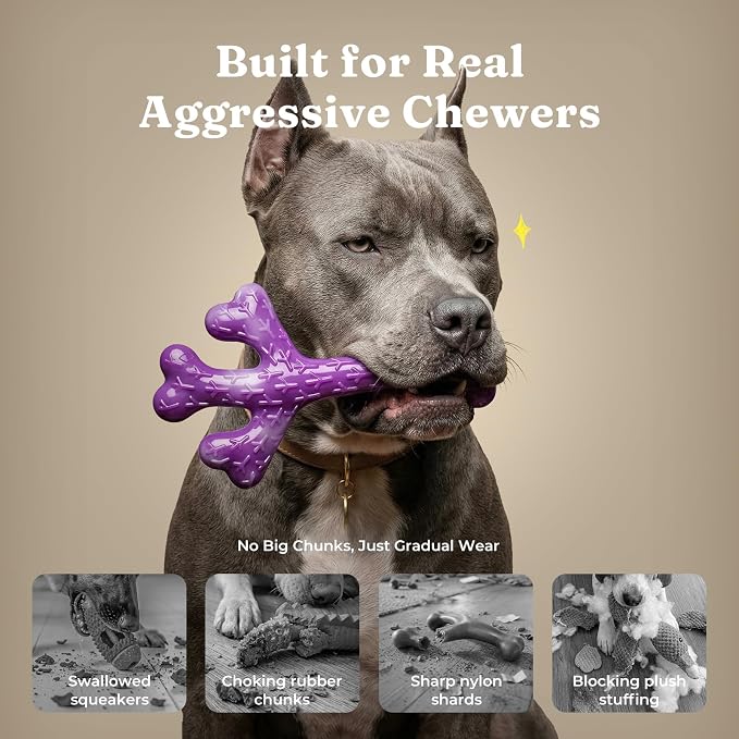 Frienhund 2-Pack Indestructible Dog Chew Toys for Aggressive Chewers | Textured Cactus with Grooves for Peanut Butter & Yogurt, Beef Nylon Bones for Large Dogs 20-90 lbs, Easy Chew & Long Lasting