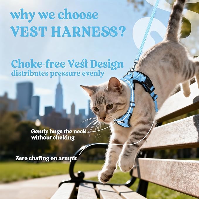 rabbitgoo Cat Harness and Leash Set, Escape Proof Vest, Light Blue | Soft Breathable Mesh, Easy Adjustable Fit, Snap Buckles, Sturdy Clip, Reflective Strips, for Kittens & Small Cats Walks, Xxs