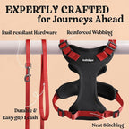 rabbitgoo Cat Harness and Leash Set, Escape Proof Vest, Black & Red | Soft Breathable Mesh, Easy Adjustable Fit, Snap Buckles, Sturdy Clip, Reflective Strips, for Kittens & Small Cats Walks, Xxs
