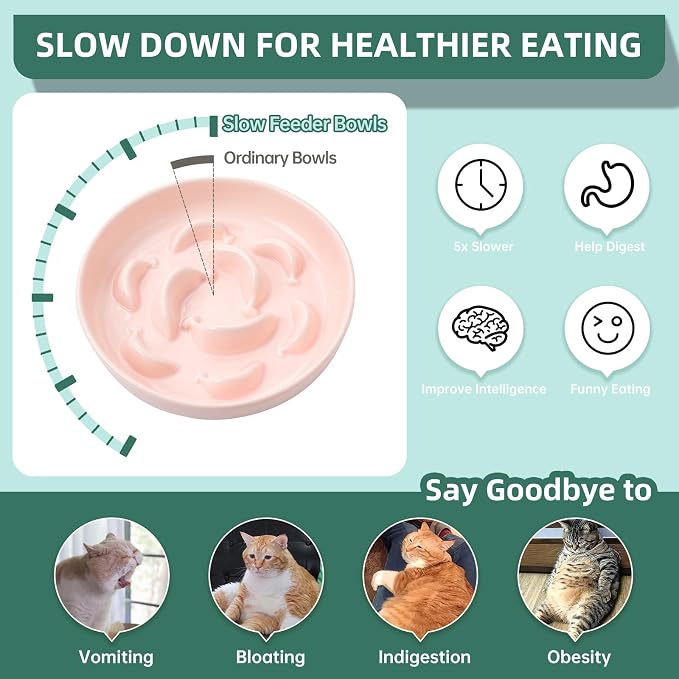 Ceramic Slow Feeder Cat Bowl, 6.3'' Wide Whisker Friendly Cat Puzzle Feeder | Slow Eating 5x, Anti Vomit Shallow Slow Eating Cat Dish for Dry and Wet Food, Microwave and Dishwasher Safe, 6.3" X 1.2"
