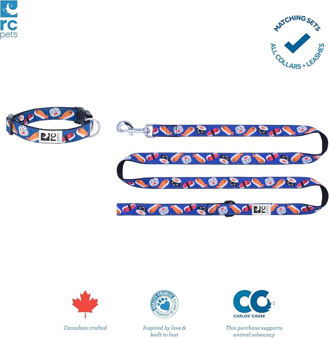 RC Pets Dog Leash | 6ft Leash with Durable Grip, Reflective Label & Accessory Ring | 3/4-Inch Wide, Soft Webbing | Sushi
