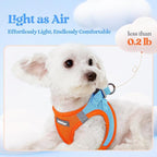 rabbitgoo Dog Harness Small Sized and Leash Set, Step-in Puppy Pet Vest | Light, Soft, Breathable Air Mesh, Easy on and Remove with Hook & Loop, Secure Reflective for Walking, Blue & Orange XS