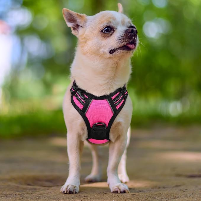 rabbitgoo Dog Harness No Pull with 2 Leash Clips, Adjustable Soft Padded, Reflective Oxford No Choke Pet Vest with Easy Control Handle for Puppy, Hot Pink, XS | No Choke with Handle, Adjustable Soft Padded, Reflective, Easy Control for Walking, Hot Pin...